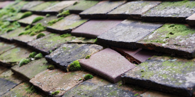 Netherfield roof repair costs